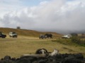 Elephant getting too close Ngorongoro Crater
